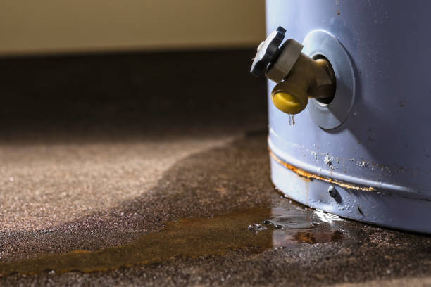 Best Carpet water damage restoration  in Attla, AL