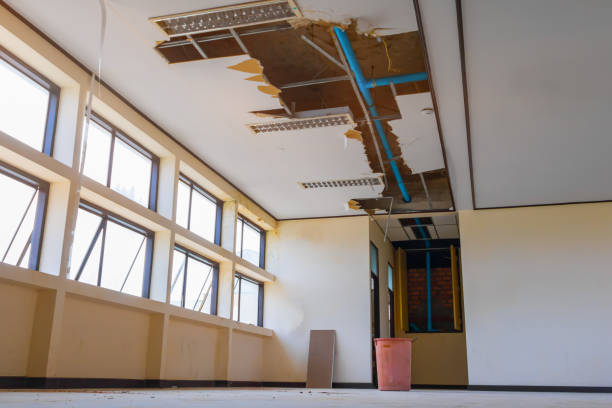 Best Mold removal after water damage  in Attla, AL