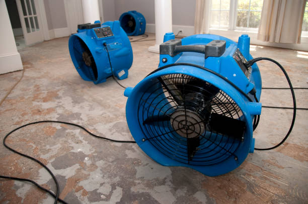 Best Water damage cleanup near me  in Attla, AL