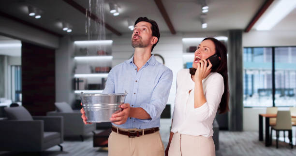 Best 24-hour water damage restoration  in Attla, AL